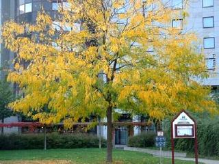 Herbst2005